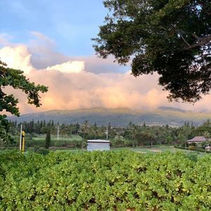 Meet your Posher, Doug